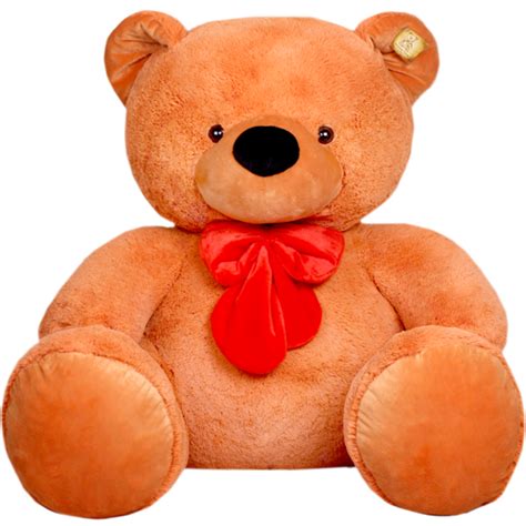Teddy Bear Png Transparent Image Download Size 500x500px