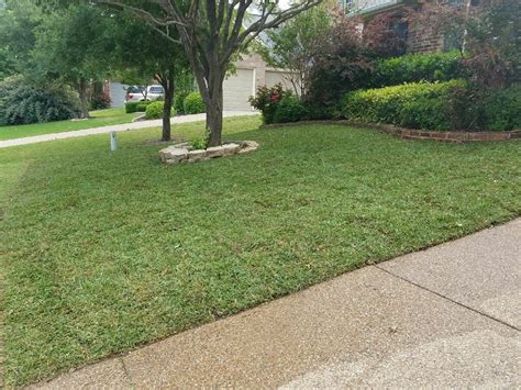 Grass Sodding North Texas Installation Free Estimate