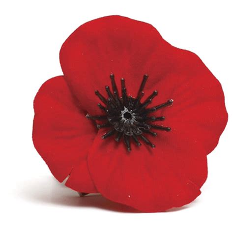 Poppy's fans seem to hold two conflicting opinions about her: Red Poppy Material Badge - Cairns RSL SubBranch