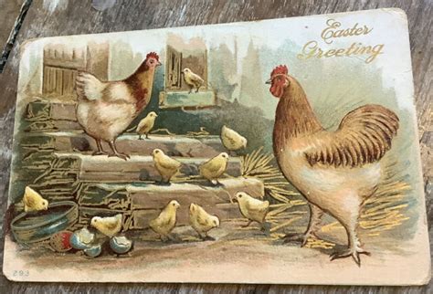Vintage Easter Postcard Chickens Roosters Eggs Typed Embossed Series