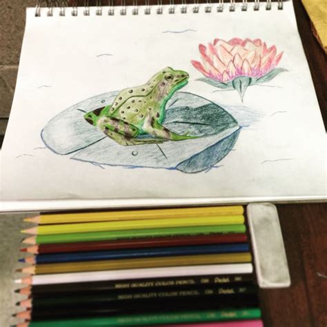 Color Pencils Arent Usually My Thing But I Gave It A Shot