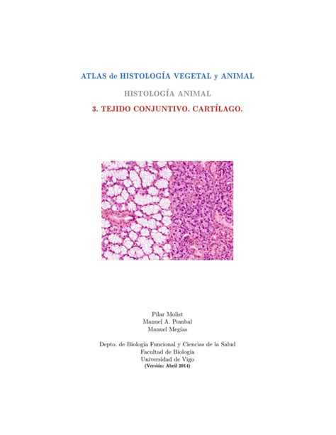 Conectivo Cartilaginoso Atlas De Histología Vegetal Y Animal