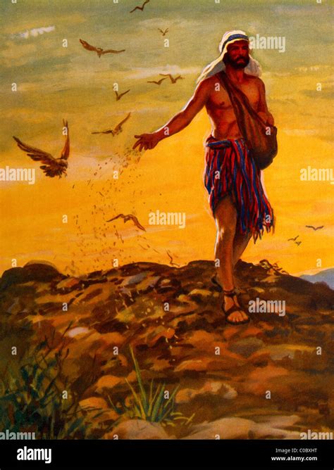 The Sower Scattering Seed Bible Story Painting By Henry Coller Stock