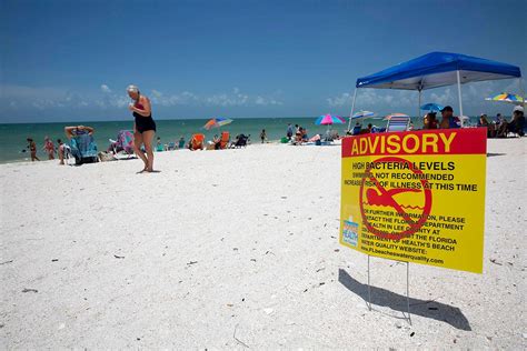 Swimmers Ignore Warnings Of Fecal Bacteria From The Florida Department Of Health At Area Beaches