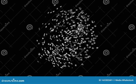Many White Particles Moving Chaotically With Different Speed On Black