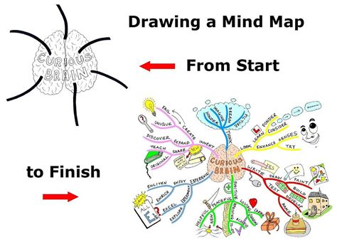 Drawing A Mind Map From Start To Finish Mind Map Create Mind Map Map