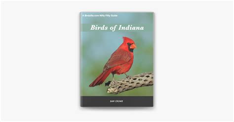 ‎birds Of Indiana On Apple Books