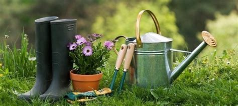 Many garden tools are now available with fiberglass/plastic handles which unlike wood don't become rotten, infested by woodworm or splinter. What are the different gardening tools and their uses? - Quora