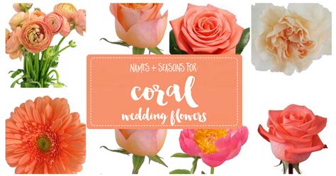 The Essential Coral Wedding Flowers Guide Types Of Peach Flowers