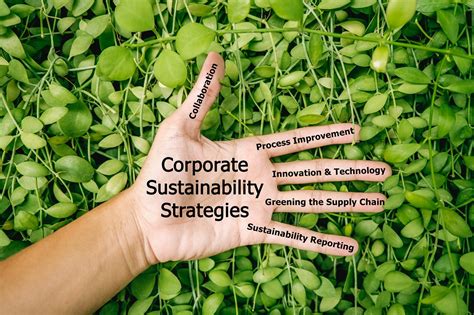 How Ecovadis And Bain Aim To Make Supply Chains More Sustainable