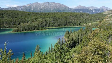 Emerald Lake Yukon Territory Canada Stock Afbeelding Image Of