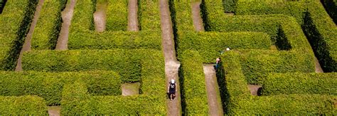 Create A Perfect Maze Garden With Hedges Instanthedge