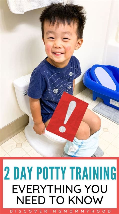 How To Potty Train A 2 Year Old Boy Irma Shaws Toddler Worksheets