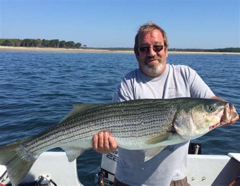Fishing Charters In Wells Harbor Maine Apex Charter And Guide Services