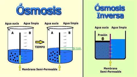 Calidad Del Agua And Ósmosis Inversa Jrpm