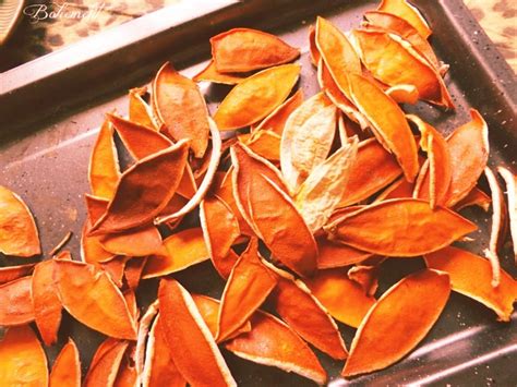Drying Sweet Orange ‘peels And Slices Wyrdcraft