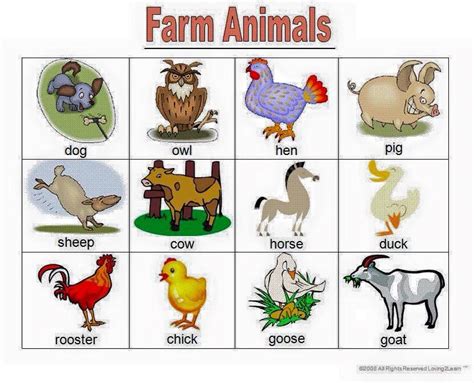 Farm Animals Chart For Kids