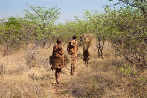 History Of The Hunter Gatherers