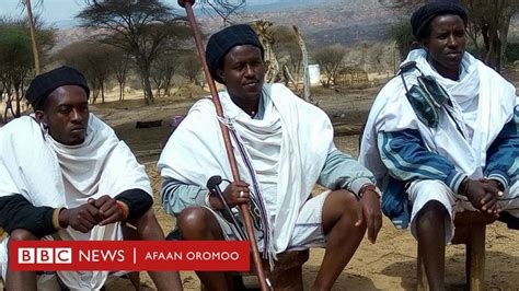 Waaee Gadaa Wantoota Beekuu Qabdan Shan Bbc News Afaan Oromoo