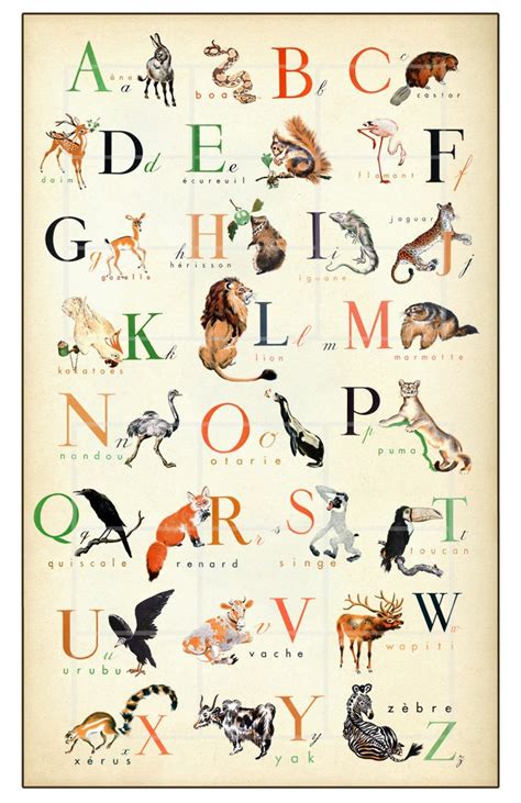 French Alphabet Wonderful Animal Alphabet Print By Childstouch