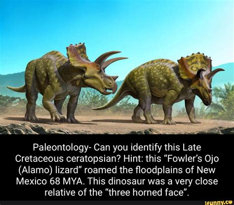 paleontology can you identify this late cretaceous ceratopsian hint this fowler s ojo alamo