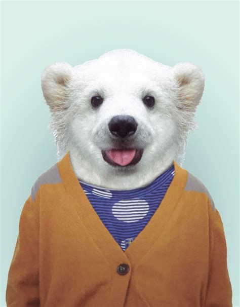 Zoo Portraits Polar Bear Cub Wall Decal Blik