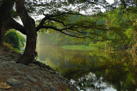 Free Images Landscape Tree Water Nature Forest Wilderness