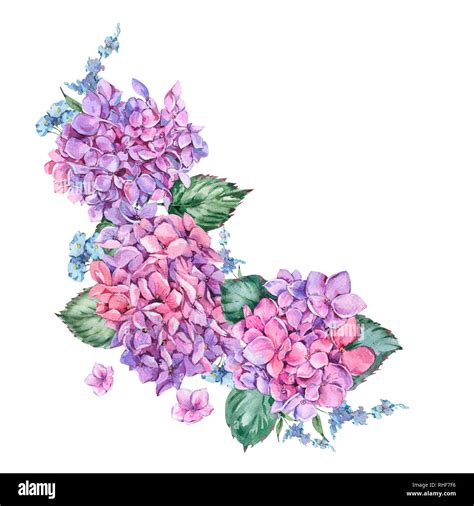 Summer Watercolor Vintage Floral Wreath With Blooming Hydrangea