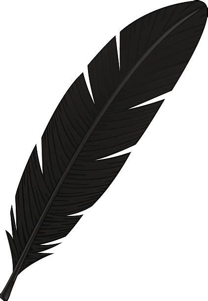 Royalty Free Crow Feather Clip Art Vector Images And Illustrations Istock