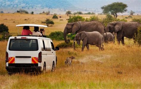 África Cuánto cuesta realizar un safari en África Precios y consejos Viaje Kenia