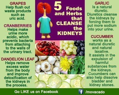 Maintain already the kidney's are essential organs that help remove toxins from the body, making them an important part of the body's natural cleansing processes.* Cleanse the kidneys naturally | Renal diet recipes, Kidney ...