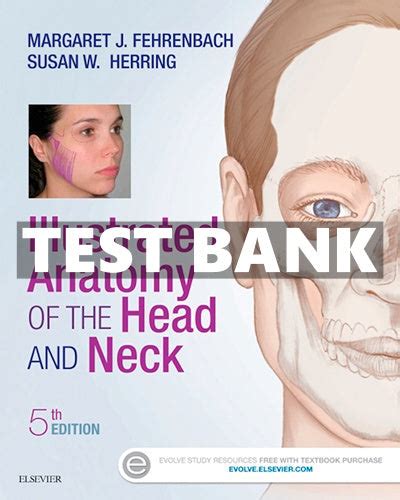 Pdf Testbank For Illustrated Anatomy Of The Head And Neck 5th Edition