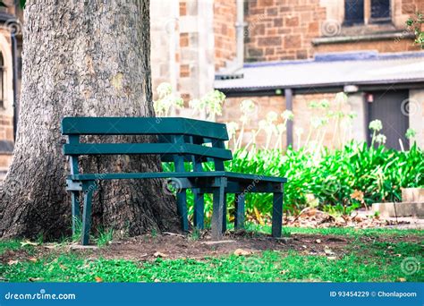 Bench In A Garden Stock Image Image Of Foliage Lake