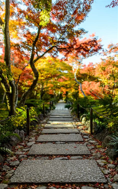 Jeffrey Friedls Blog Fall Foliage At Kyoto Arashiyamas Hokyo In