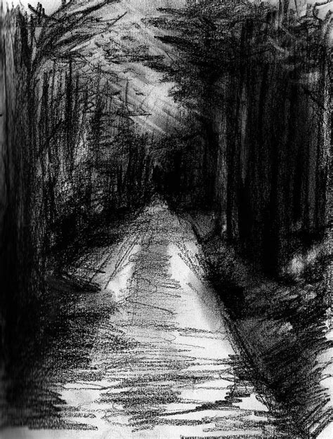 Night Forest Drawing By Dobby Fachrizal Fine Art America