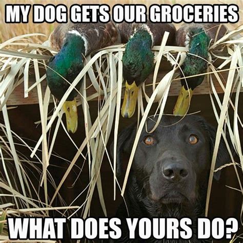 Waterfowl Obsessions Duck Hunting Dogs Hunting Humor Hunting Jokes