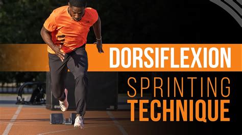Sprinting Technique Dorsiflexion And Running On Your Toes Newbieto