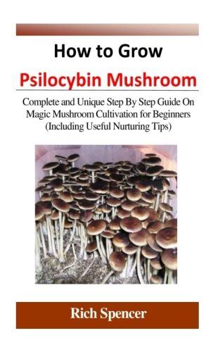 How To Grow Psilocybin Mushroom Complete And Unique Step By Step Guide