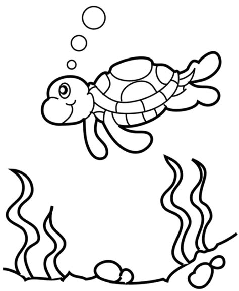 Turtle Free Coloring Page Coloring Book Coloring Pages