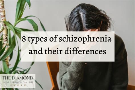 8 Types Of Schizophrenia And Their Differences The Diamond Rehab Thailand