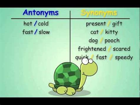 Antonyms and Synonyms - YouTube