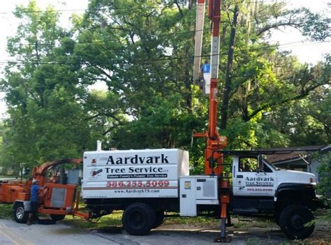 Aardvark Tree Service | Port Orange FL