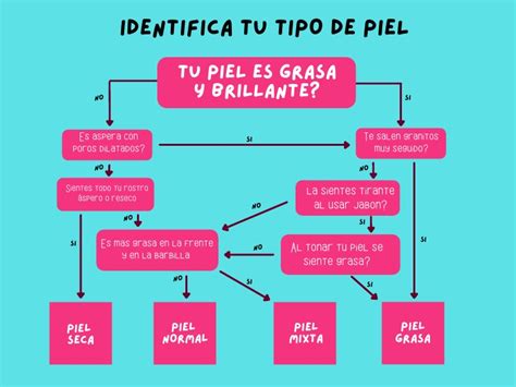 Identifica Tu Tipo De Piel Pdf