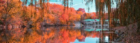 Wallpaper Beautiful Autumn Park Pond Willow Trees 3840x2160 Uhd 4k
