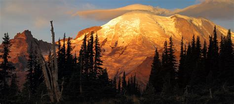 Sunrise At Mt Rainier National Park Rnationalpark