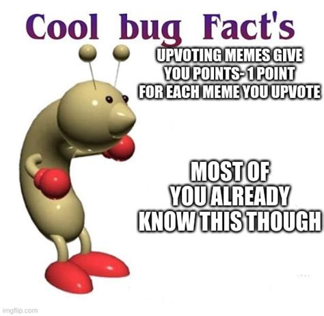 Cool Bug Facts Imgflip