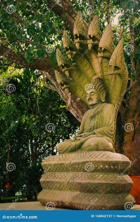Sitting Buddha Flanked By A Multiheaded Naga Serpent At A Jungle