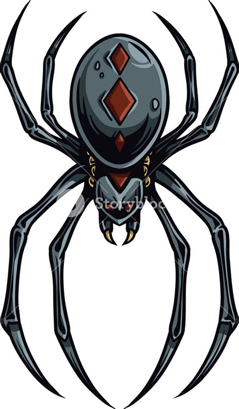 Vector Spider Royalty Free Stock Image Storyblocks