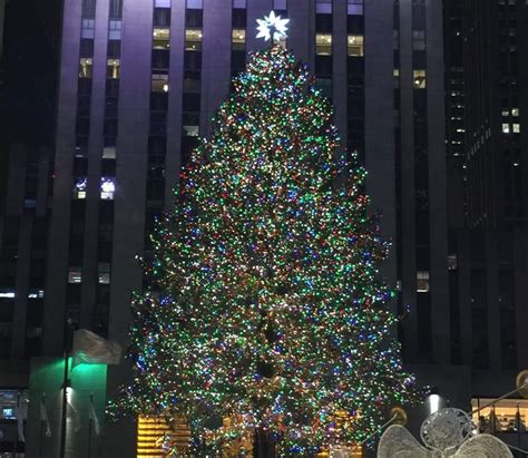 Tim Mcgraws Preposterously Tall Christmas Tree