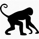 Monkey Icon Animal Animals African Icons Marmoset